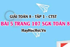 Giải bài 5 trang 107 Toán 8 Tập 1 SGK Chân trời sáng tạo